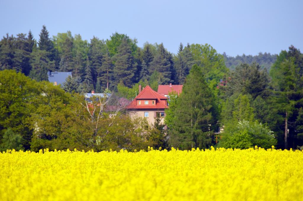 Ferienwohnung Deutschmann Dahlen Zimmer foto